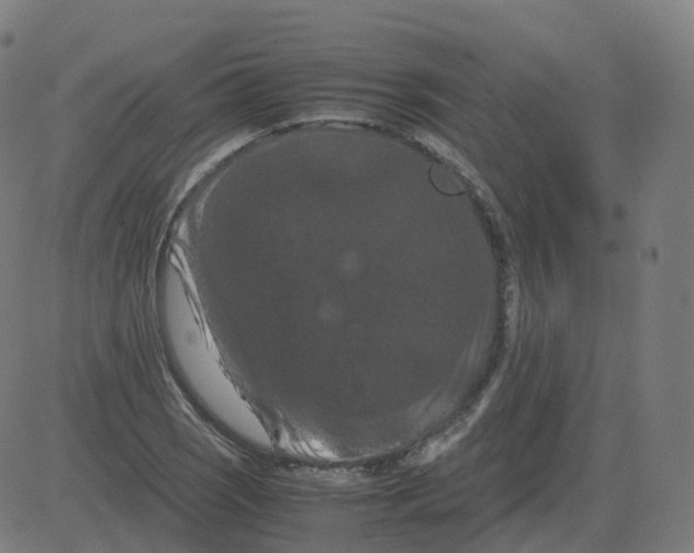 X0000081491121200702100023