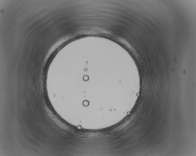 X0000081491122200702100023