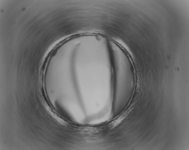 X0000081491124200702100023