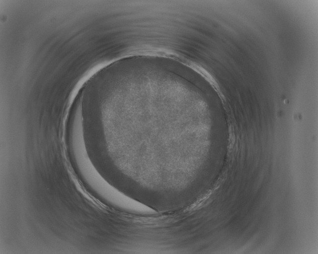 X0000081491128200702100023