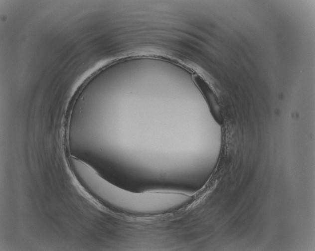 X0000081491134200702100023