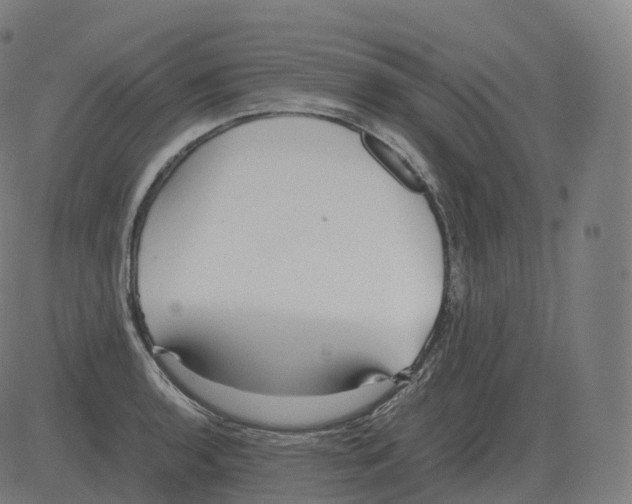 X0000081491136200702100023