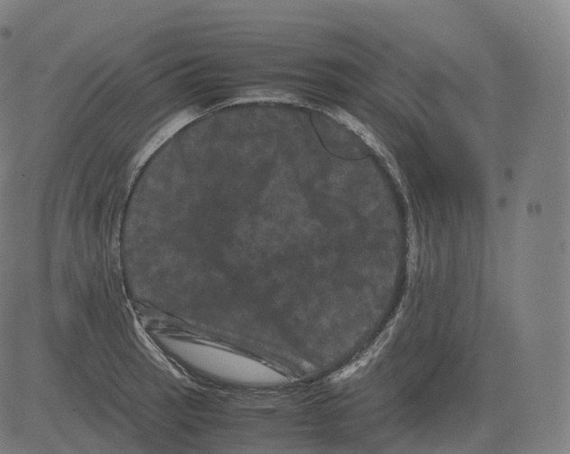 X0000081491137200702100023