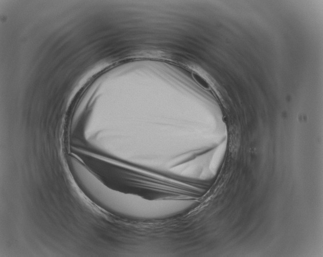 X0000081491139200702100023