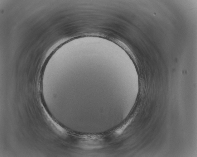 X0000081491141200702100023