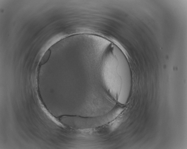 X0000081491142200702100023