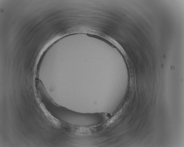 X0000081491144200702100023