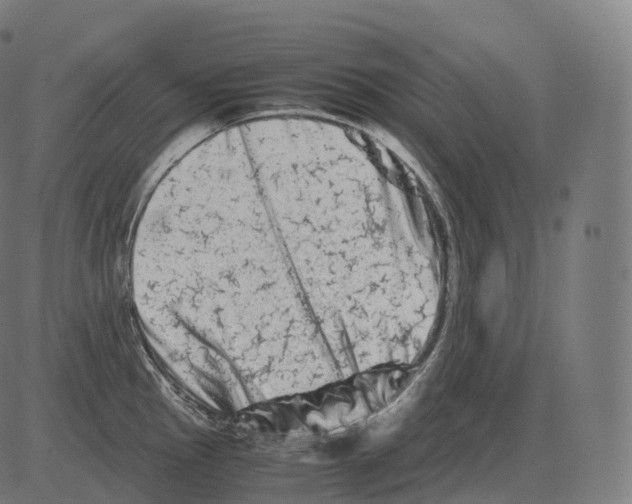 X0000081491145200702100023