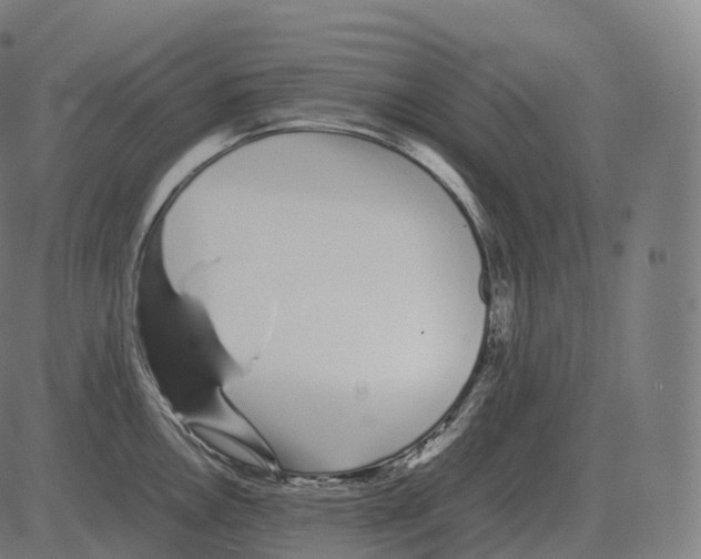 X0000081491146200702100023