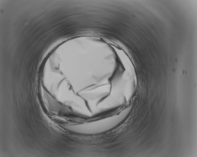 X0000081491147200702100023