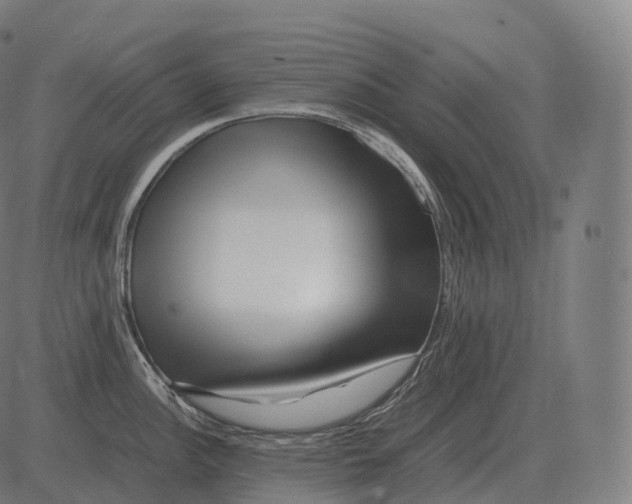 X0000081491148200702100024