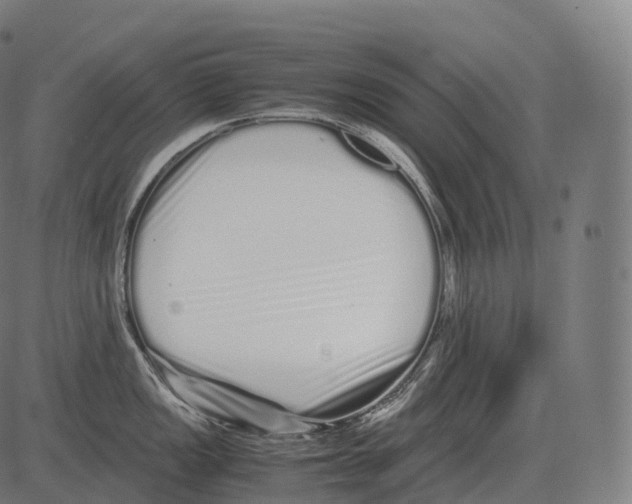 X0000081491149200702100024