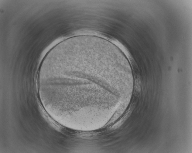 X0000081491150200702100024