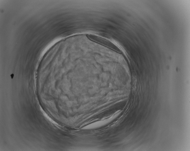 X0000081491151200702100024