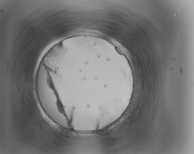 X0000081491152200702100024