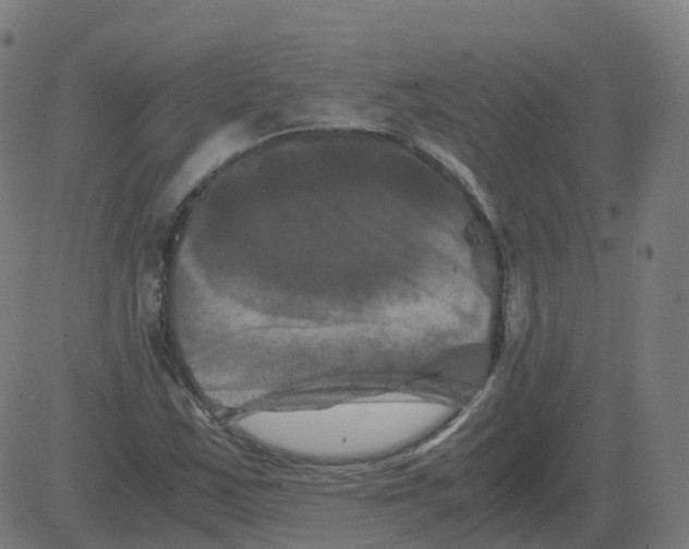 X0000081491163200702100023