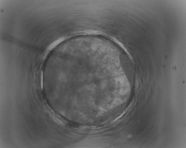 X0000081491171200702100022