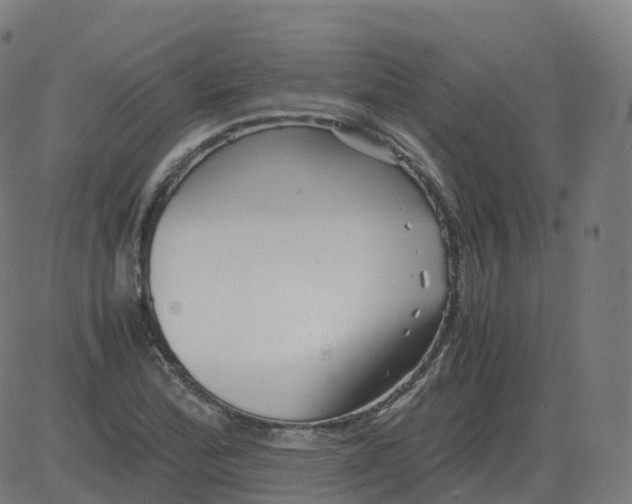 X0000081491172200702100022