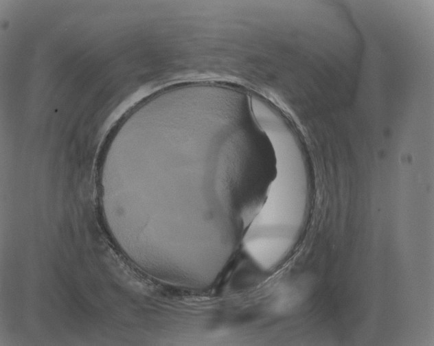 X0000081491173200702100022