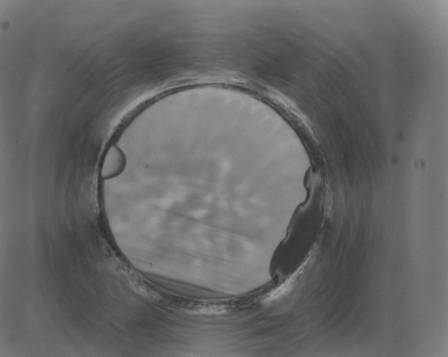 X0000081491174200702100022