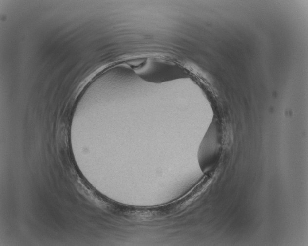 X0000081491177200702100022