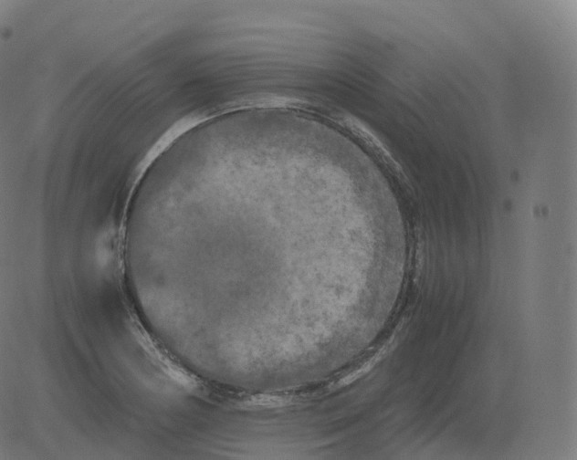 X0000081491178200702100022