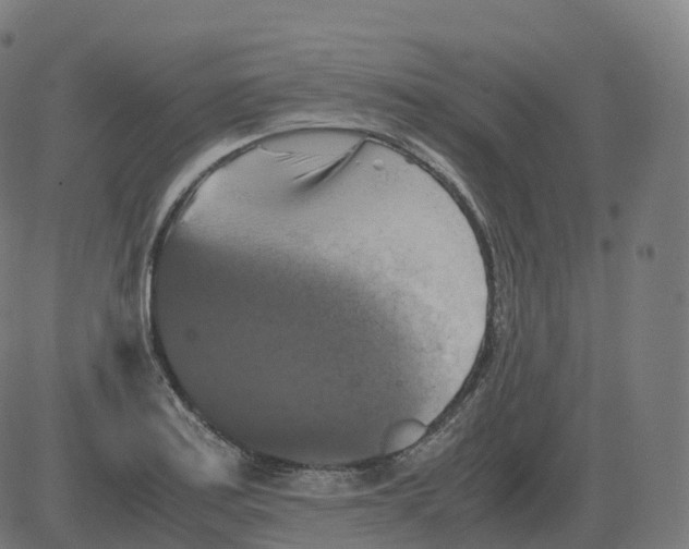 X0000081491179200702100022