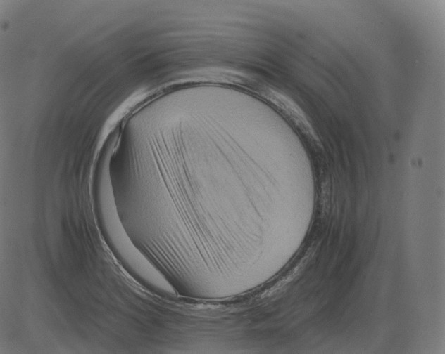 X0000081491180200702100022