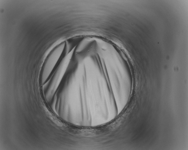 X0000081491181200702100022