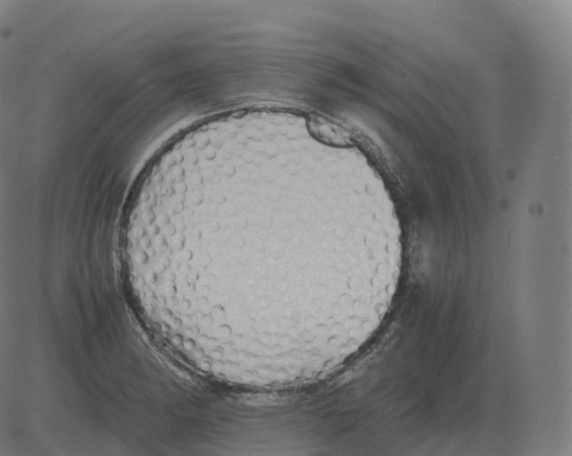 X0000081491182200702100022