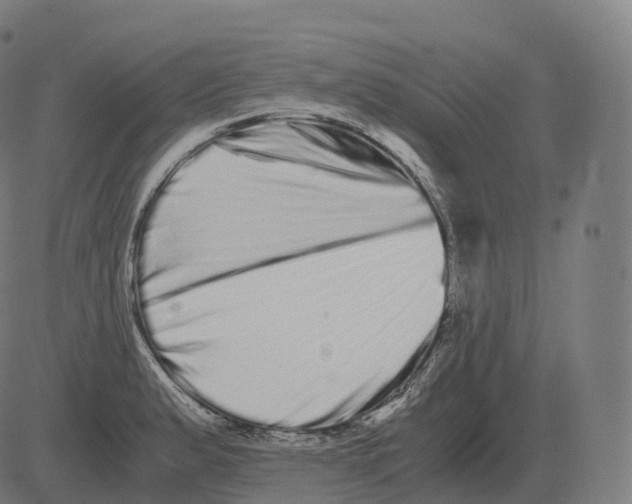 X0000081491183200702100022