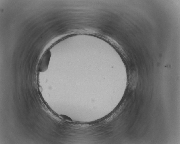 X0000081491184200702100022