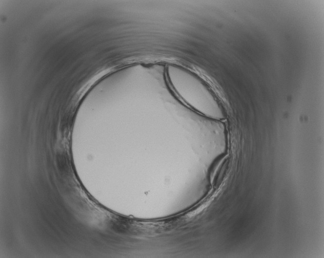 X0000081491185200702100022