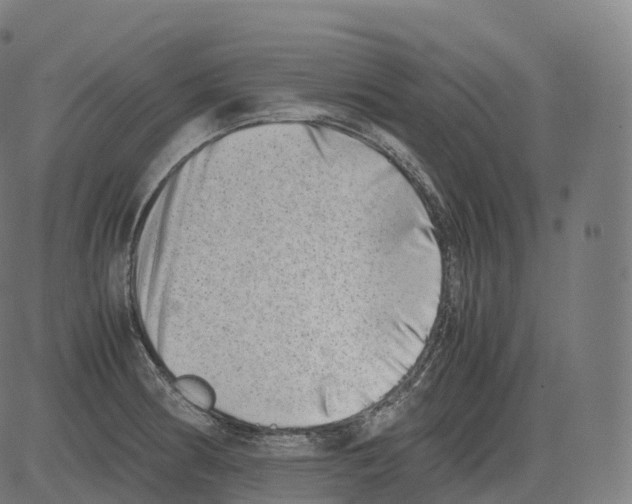 X0000081491186200702100022