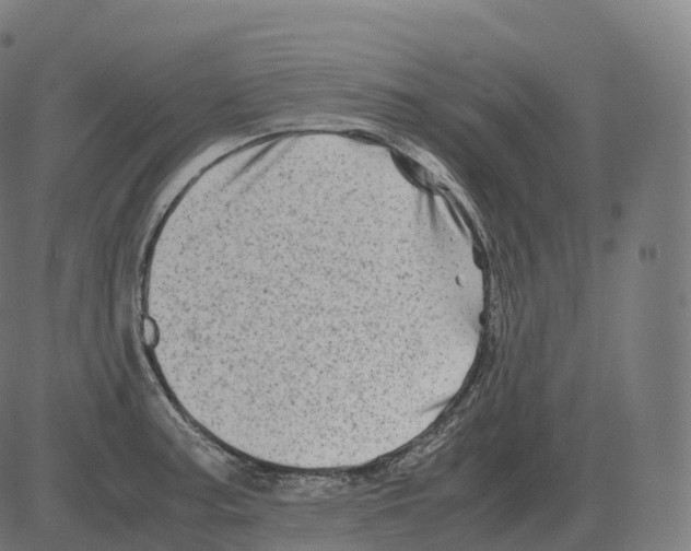 X0000081491187200702100022