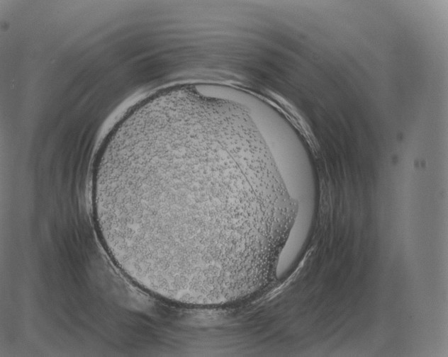 X0000081491188200702100022