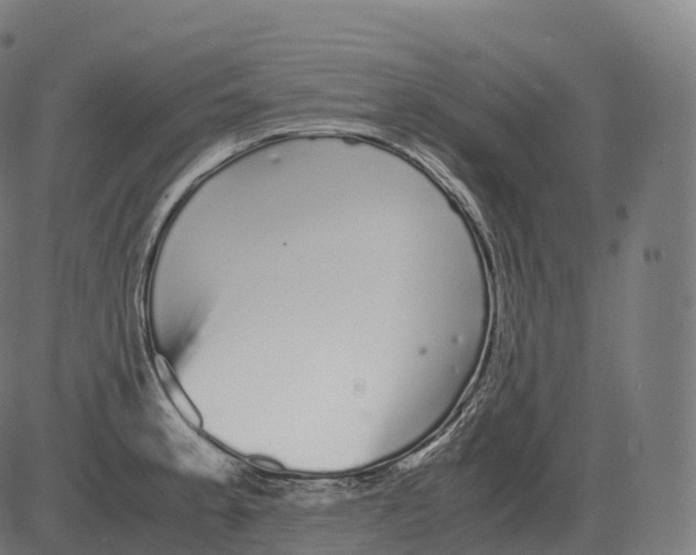 X0000081491189200702100022