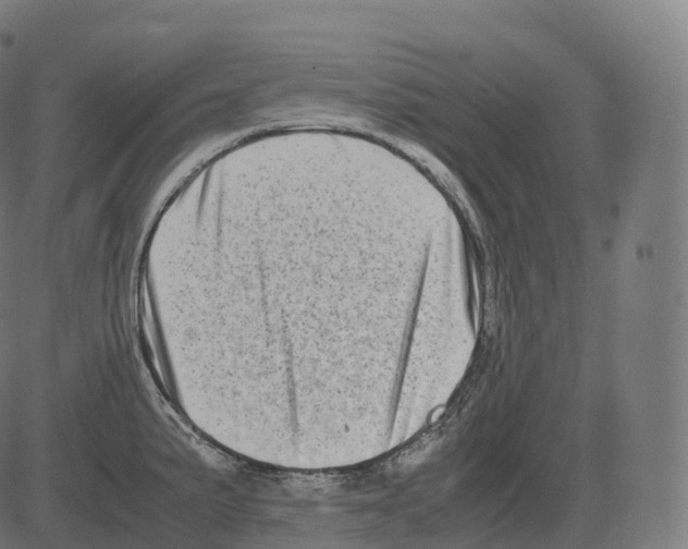 X0000081491191200702100022