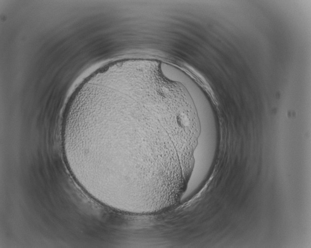 X0000081491192200702100022