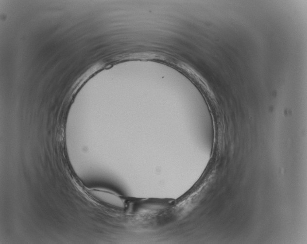 X0000081491193200702100022