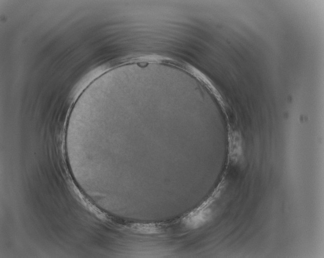 X0000081491194200702100022