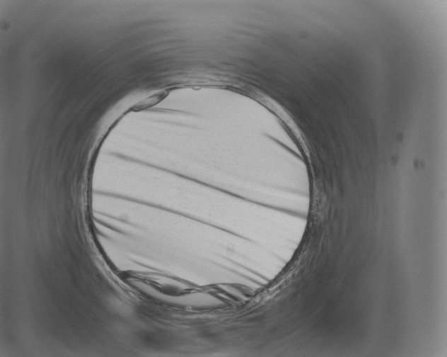 X0000081491195200702100022