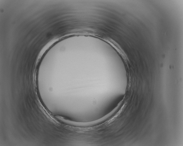 X0000081491196200702100022