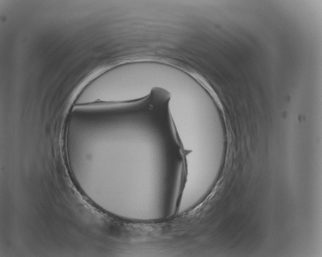 X0000081491197200702100022