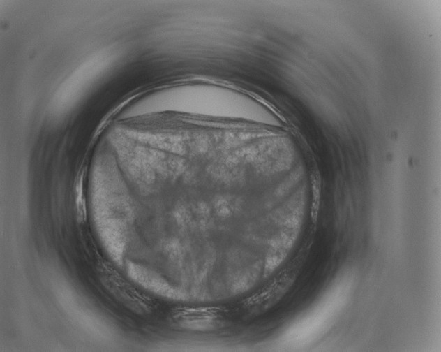 X0000081491198200702100022