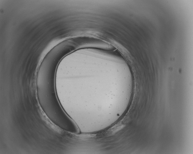 X0000081491200200702100022