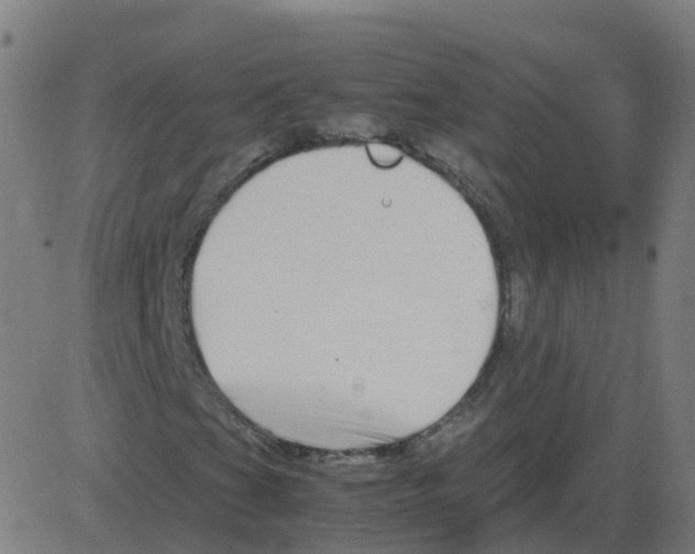 X0000081491201200702100021