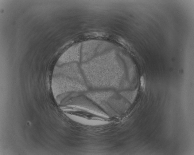 X0000081491203200702100021