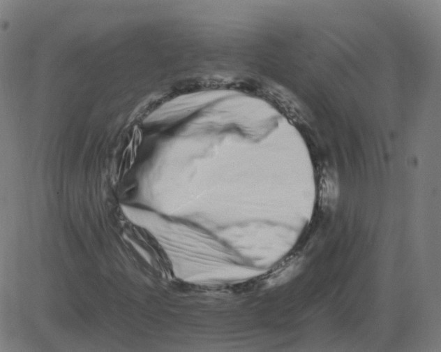 X0000081491204200702100021