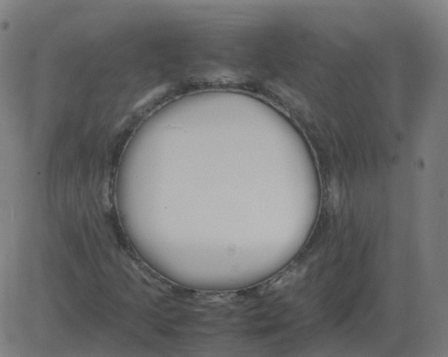 X0000081491205200702100021